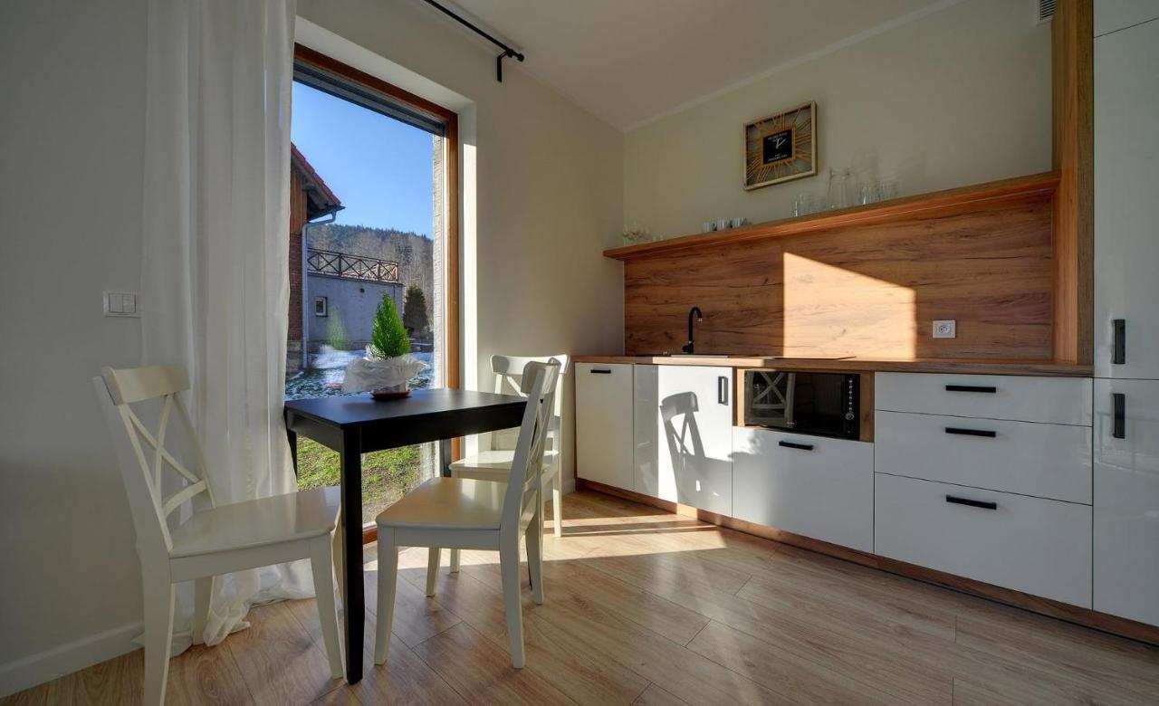 Apart-Invest Apartament Grottgera Studio 3 Шклярска-Поремба Экстерьер фото